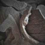 coconut charcoal_close up