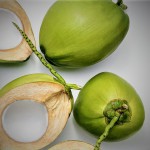 fresh coconut