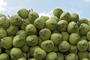 Closeup of pile of coconuts on blue sky background, in the wholesale market of Largo do Pari. Sao Paulo, Brazil